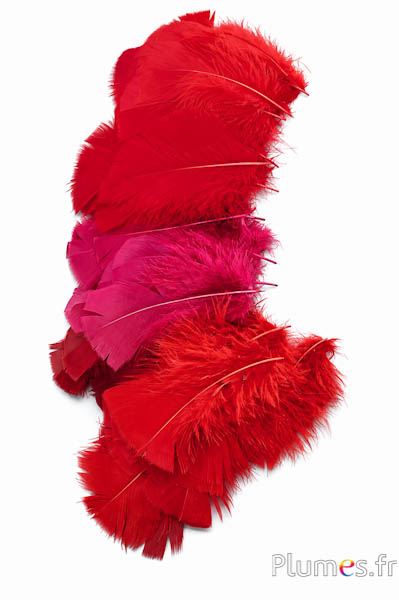 Pute - 6-8 cm - Nuancen von Rot